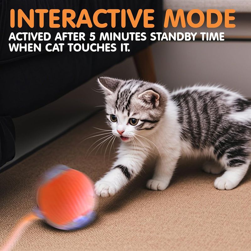 Cat Interactive Ball Toys Automatic Rolling Ball for - detail view - PET'S FUN | cat supplies