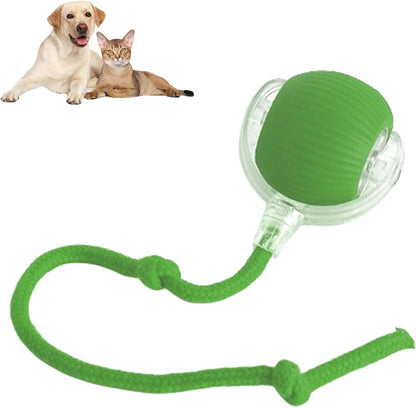 Rolling Ball for Dogs Doggie Ball Interactive Dog - detail view - PET'S FUN | dog accessories