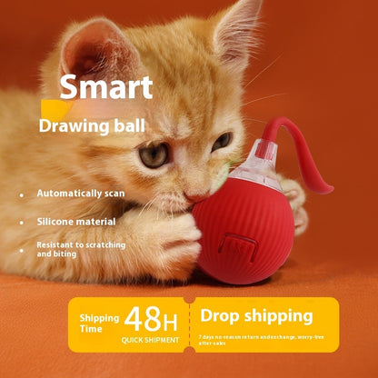 Interactive Cat Toy Ball Super Drive Cat Rolling Ball - front view - PET'S FUN | cat bed