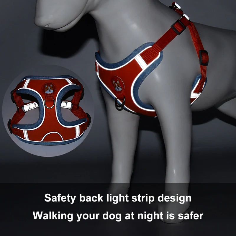 New Dog Leash And Harness Set Pet Dog Harness And - detail view - PET'S FUN | premium pet products