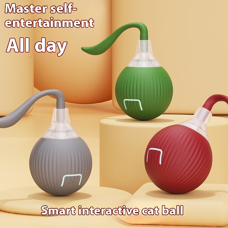 Interactive Cat Toy Ball Super Drive Cat Rolling Ball - back view - PET'S FUN | cat accessories