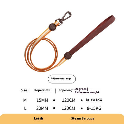 Retro Record Hand Holding Rope Small and - back view - PET'S FUN | dog accessories