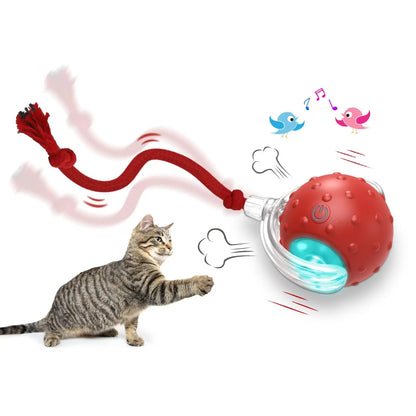 Interactive Cat Toy Ball Super Drive Cat Rolling Ball - showcase view - PET'S FUN | cat entertainment