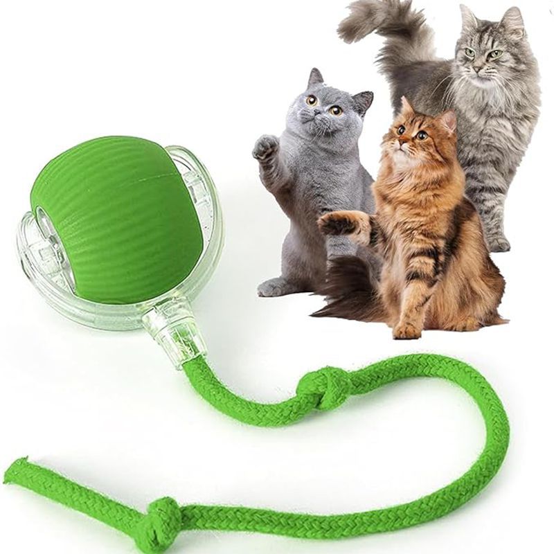 Cat Interactive Ball Toys Automatic Rolling Ball for - packaging view - PET'S FUN | interactive cat toy