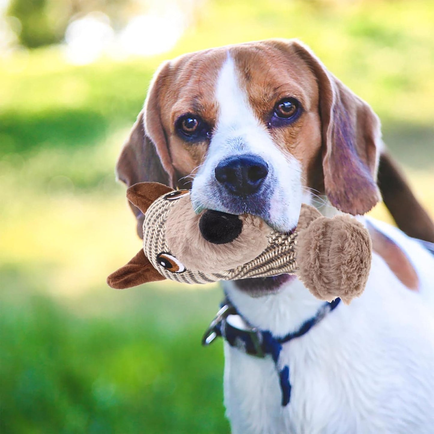 Large Dog Squeaky Toys Stuffed Animal Dog Plush Toy - back view - PET'S FUN | dog accessories
