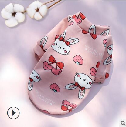 Small Dog Pet Trendy Winter Clothes - angle view - PET'S FUN | dog supplies